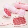 gaman 4 in 1 Saç Bakım Sprey Şişesi+Saç Bakım Yağı Uygulama Şişesi+Masaj Tarağı+Saç Açıcı Hollow Tarak Set ( PEMBE )