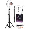 10" LED Lamba 210cm Tripodlu Youtuber Video Selfie Stüdyo Makyaj Tiktok Işığı Ring Light 3 Renk Işık