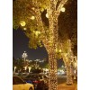 50 Metre Gün ışığı Led Işık 8 Animasyonlu Şık Rüya Led 50 Metre Şerit LED - cafe restoran ledi